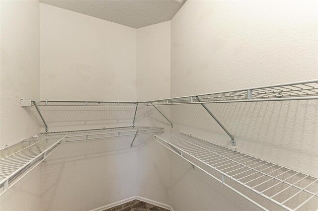 walk in closet featuring carpet floors