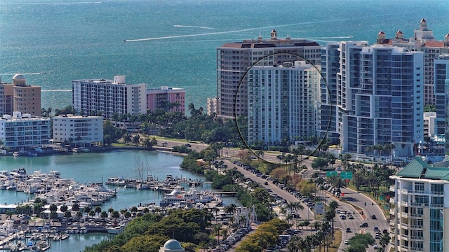 drone / aerial view with a water view