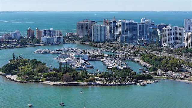 drone / aerial view with a water view