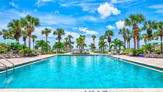 view of swimming pool with a patio