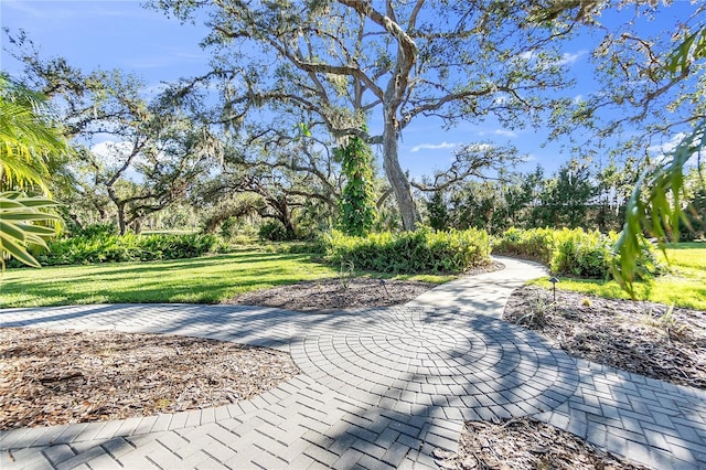 view of property's community featuring a yard