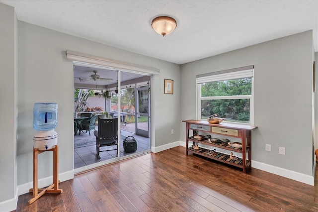 interior space featuring ceiling fan and wood-type flooring