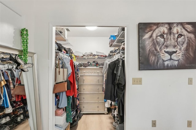 spacious closet with light wood-type flooring