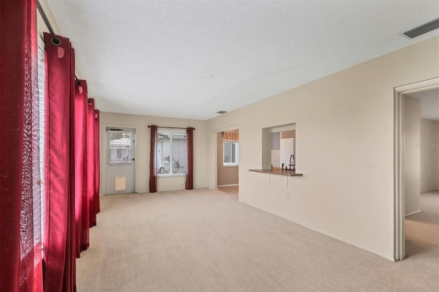 carpeted spare room with a textured ceiling and a wealth of natural light