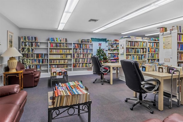 office space featuring carpet flooring