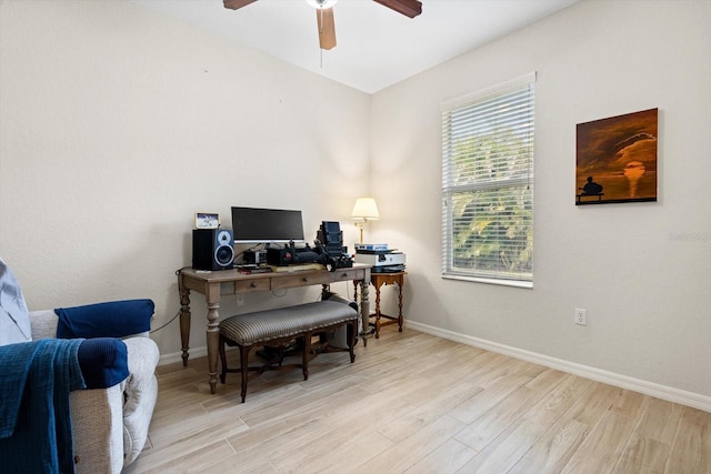 office space featuring ceiling fan and light hardwood / wood-style flooring