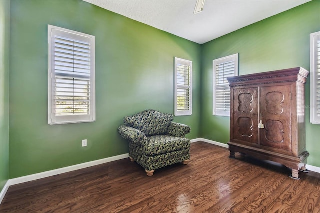 living area with dark hardwood / wood-style flooring and plenty of natural light