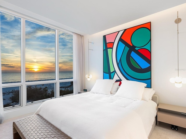 bedroom with a water view