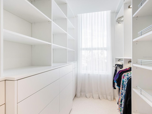 view of spacious closet