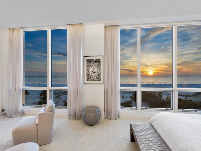 carpeted bedroom with a water view