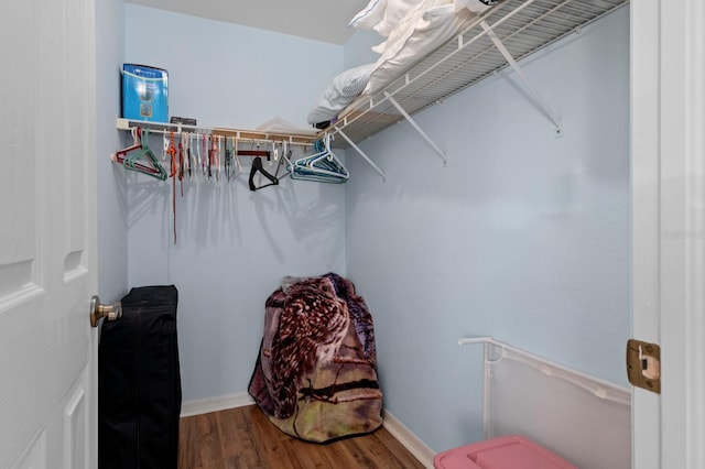 walk in closet with hardwood / wood-style flooring