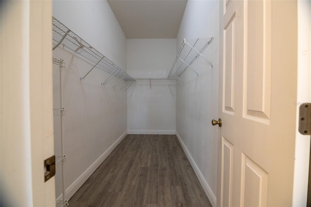 walk in closet featuring dark wood-type flooring