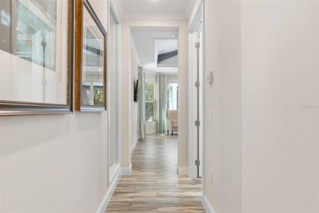 hall featuring light hardwood / wood-style floors and crown molding