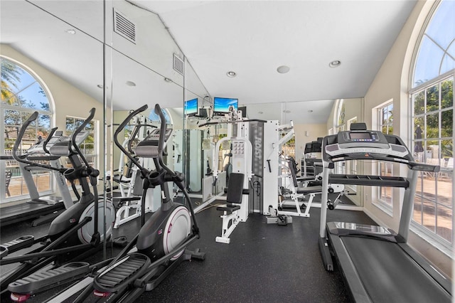 workout area featuring a healthy amount of sunlight and lofted ceiling