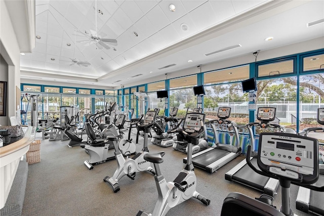 exercise room with a raised ceiling, ceiling fan, and a wealth of natural light