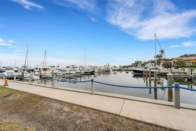 dock area with a water view