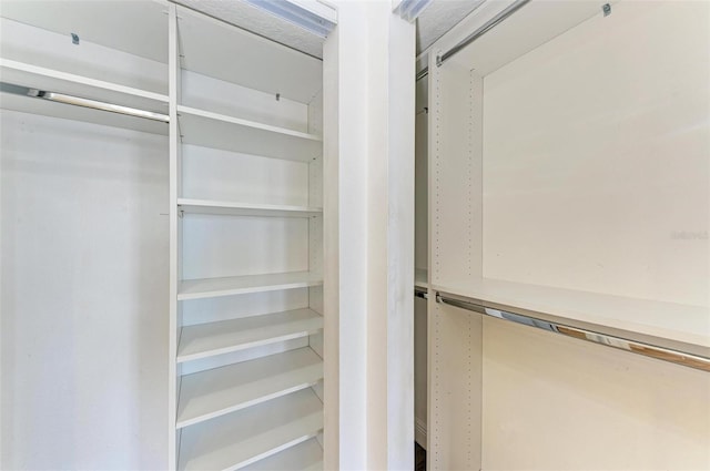 view of walk in closet