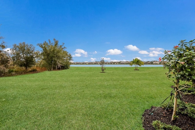 view of yard featuring a water view