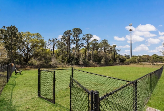 view of yard featuring a rural view