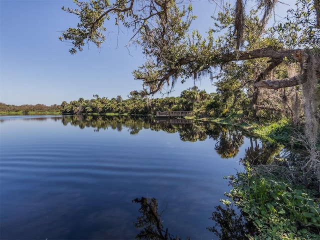 property view of water