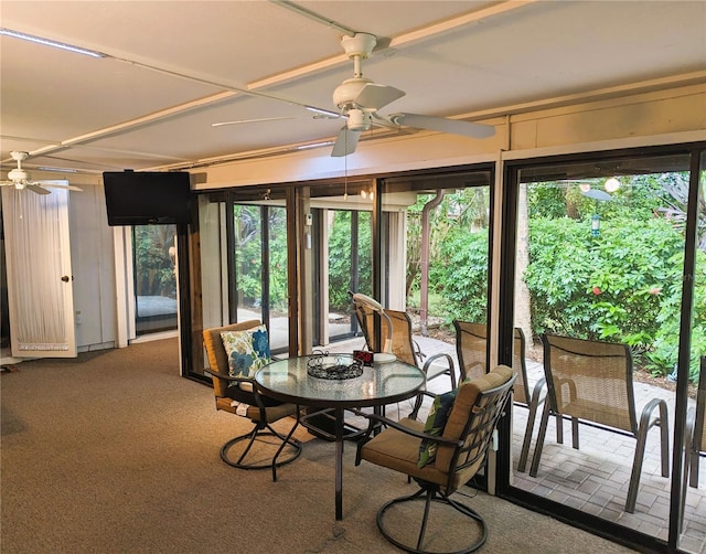 sunroom / solarium featuring ceiling fan