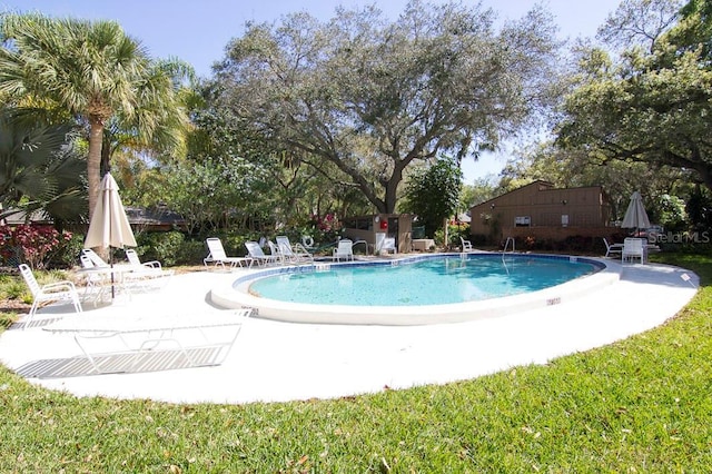 view of pool with a patio