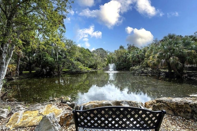 view of water feature