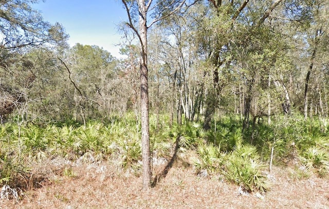 LOT17 Overcup Dr, Webster FL, 33597 land for sale