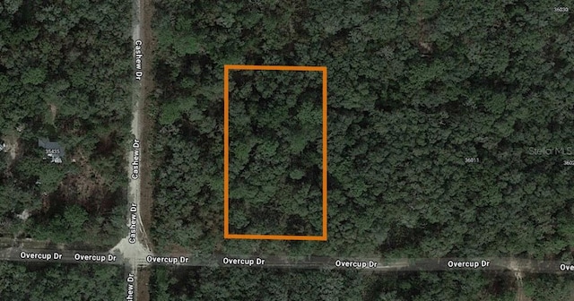 Listing photo 2 for LOT17 Overcup Dr, Webster FL 33597