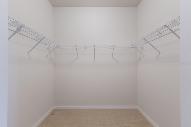 spacious closet with light carpet