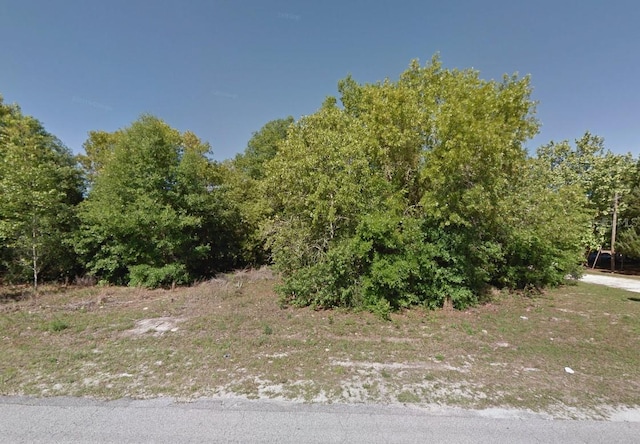 0 SE 84th Ave, Belleview FL, 34420 land for sale