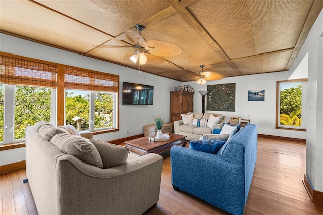 living room with ceiling fan and light hardwood / wood-style flooring