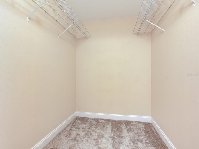 walk in closet with light colored carpet