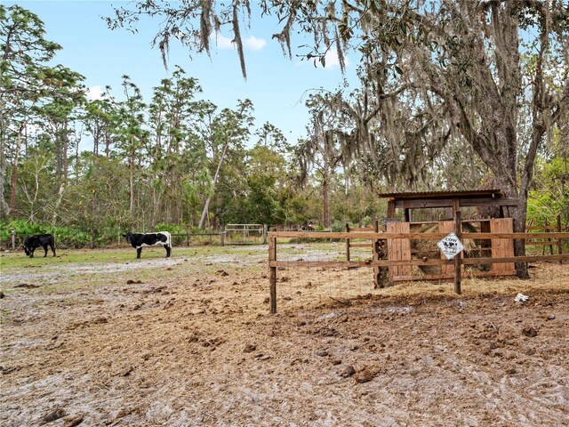 8107 High Oaks Trl, Myakka City, FL 34251 - photo 65