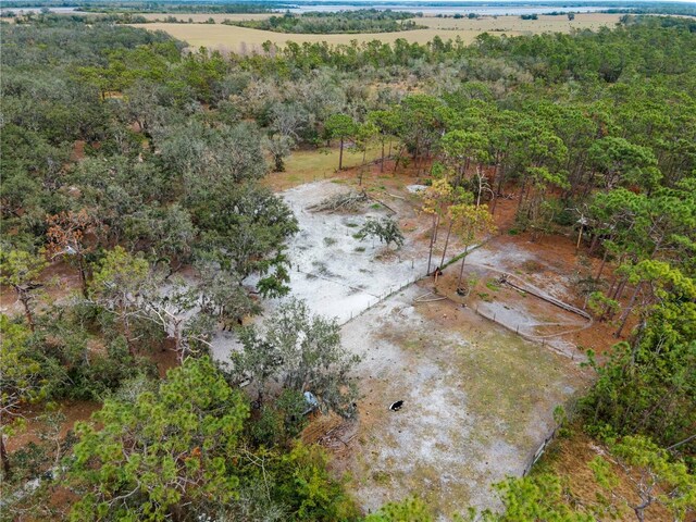 8107 High Oaks Trl, Myakka City, FL 34251 - photo 66