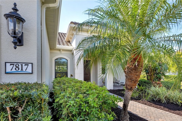 7817 Passionflower Dr, Sarasota, FL 34241 - photo 43
