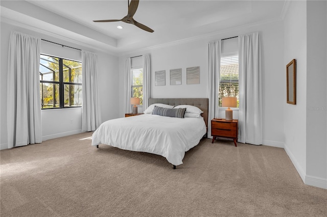 carpeted bedroom with ceiling fan, ornamental molding, a tray ceiling, and multiple windows