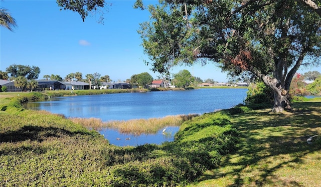 view of water feature