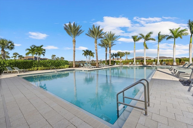 view of swimming pool with a patio