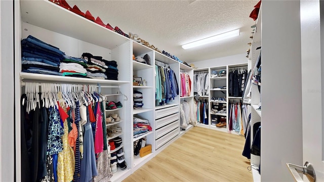 walk in closet with hardwood / wood-style floors