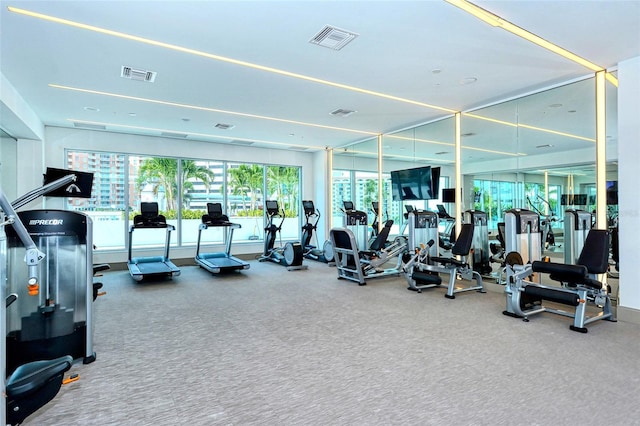 workout area featuring visible vents