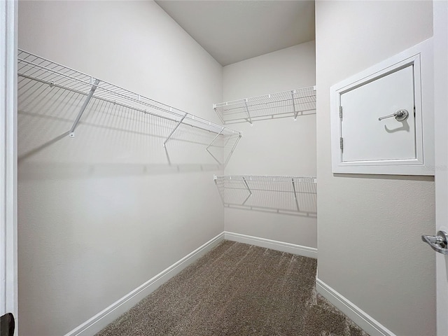 spacious closet with carpet flooring