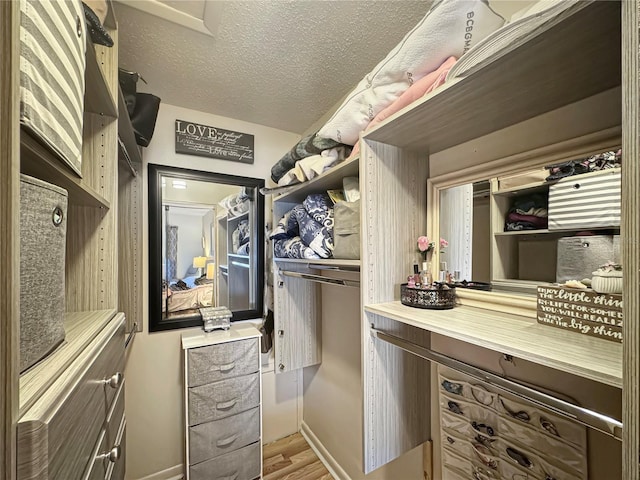 walk in closet featuring hardwood / wood-style flooring