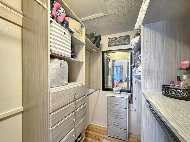 spacious closet featuring light wood-type flooring