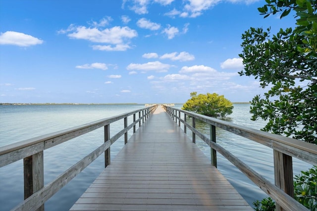 dock area featuring a water view