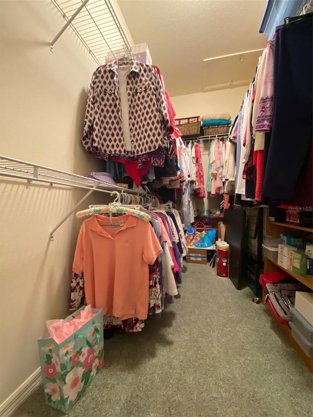 spacious closet featuring carpet flooring