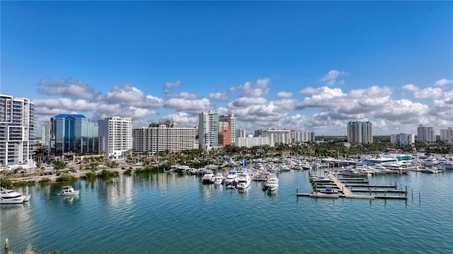 water view with a boat dock and a view of city