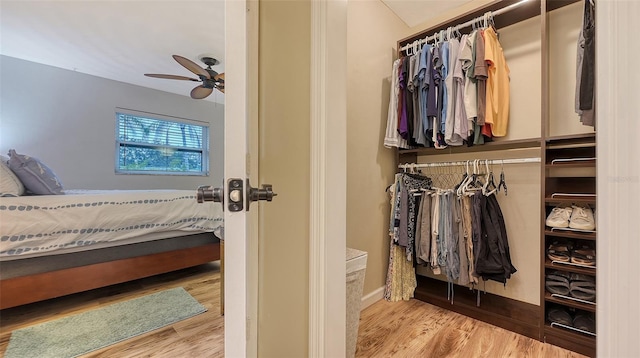 interior space featuring ceiling fan and wood finished floors