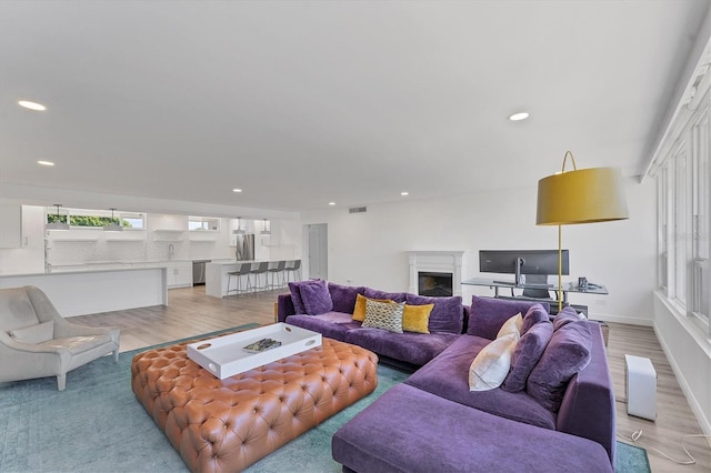 living room featuring light hardwood / wood-style flooring