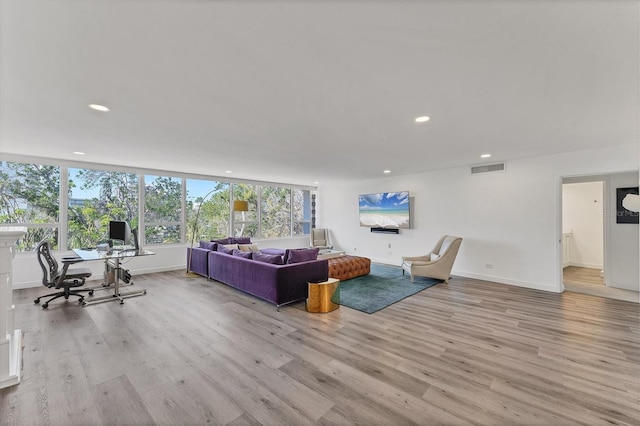 living room featuring light hardwood / wood-style floors